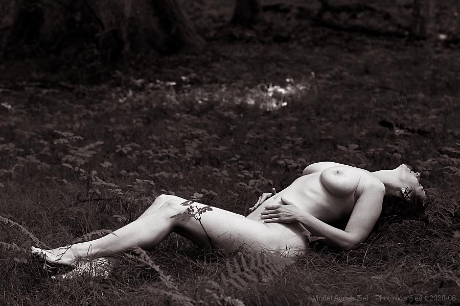 Artistic nude photo of a woman in the forest.