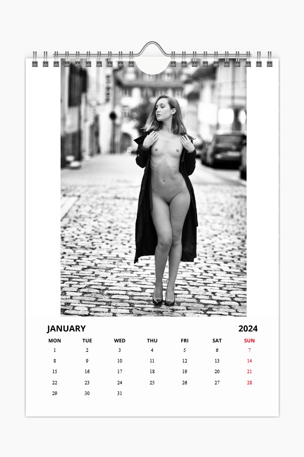 Calendar 2024 January image